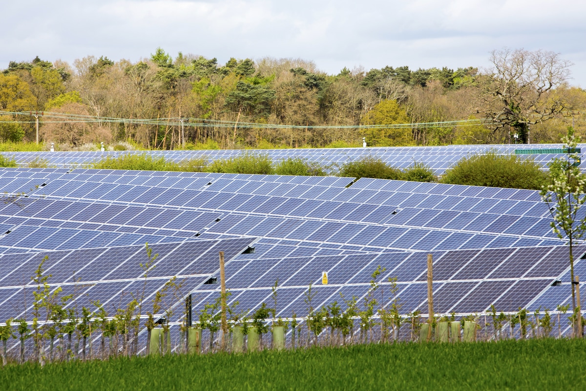 Salhouse Solar Park surrounded by vegetation in Norfolk, UK