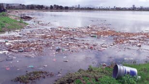 Raw Sewage in Tijuana River at Mexico-U.S. Border a ‘Public Health Crisis’