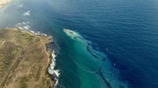 Oil Spill off the Coast of Trinidad and Tobago Drifts Into Caribbean, Threatening Marine Life and Coral Reefs