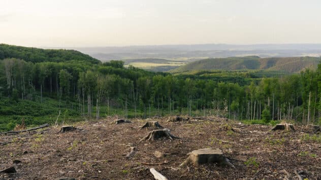 EU Nature Restoration Plan Postponed Indefinitely