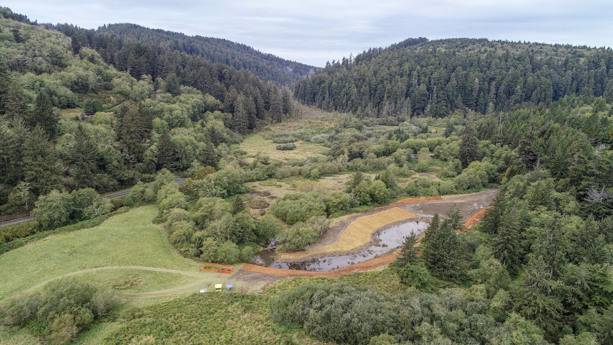 Restoring Prairie Creek to ecological integrity is part of the plan for the 125-acre ‘O Rew Redwoods Gateway