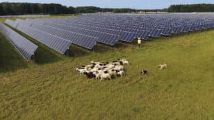 Virginia’s Utility Regulator Approves Enough New Solar Projects to Power Nearly 200,000 Homes