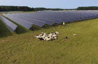 Virginia’s Utility Regulator Approves Enough New Solar Projects to Power Nearly 200,000 Homes