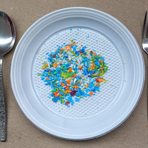 Ingested Microplastics Can Move From the Gut to the Brain and Other Organs, Study Finds