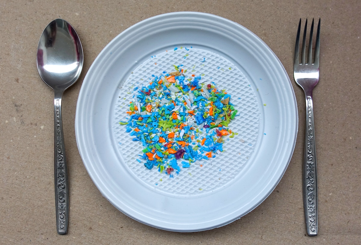 High angle view of microplastics on a single-use plate with fork and spoon on to