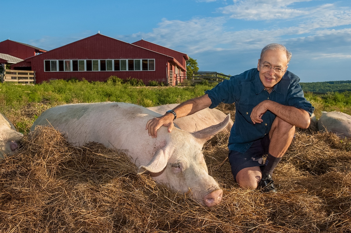 Peter Singer with a pig at Farm Sanctuary in Watkins Glen, New York