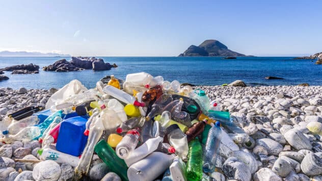 56 Companies Responsible for Half of Global Plastic Pollution That Researchers Could Trace